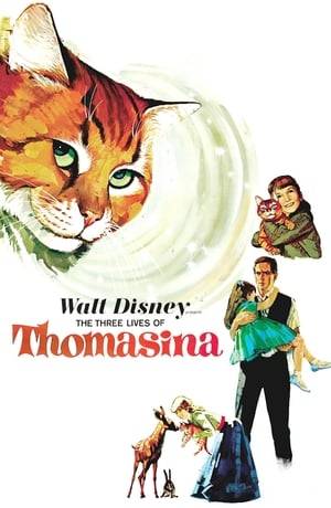 Thomasina is the pet cat of Mary McDhui, the daughter of Scottish veterinarian Andrew McDhui. When Thomasina falls ill, McDhui declares that the pet should be put down. But when Mary and her father try to bury the cat, Lori MacGregor (Susan Hampshire), who is said to be a witch, shows up and attempts to steal it.
