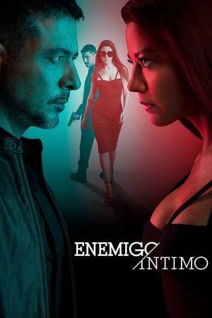 The story of two siblings who witness the murder of their parents in the hands of one of the drug cartels in Mexico, after which Alejandro Ferrer's younger sister is kidnapped. 25 years later, Alejandro is now the captain of the Federal Police and seeks revenge against the narcos for destroying his family.