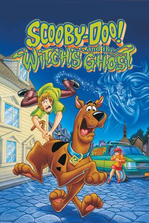 Scooby-Doo and the Mystery Gang visit Oakhaven, Massachusetts to seek strange goings on involving a famous horror novelist and his ancestor who is rumored be a witch.