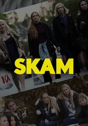 The story of young teenagers and pupils from Hartvig Nissens upper secondary school in Oslo, and their troubles, scandals and everyday life. Each season is told from a different person's point of view.