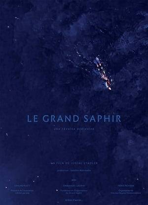 This film is the story of several civic and individual initiatives which consists of collecting waste, at sea and on land, to preserve the environment. We start by portraying these committed characters with the personal initiative of Emmanuel Laurin, "The Great Saphir", who combines athletic achievement and environmental protection. During almost 14 days, between May 25 and June 8 in 2017, Manu swam 120 km of coastline while collecting macro-waste to raise public awareness of the critical state of pollution in the Mediterranean Sea. This film is a reflection of the evolution of environmental activism: after the denunciation, these new whistleblowers adopt a positive approach and take action. They prove to us every day that we are all able to do that.