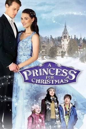 After her sister and brother-in-law's tragic deaths, an American woman who is the guardian for her young niece and nephew is invited to a royal European castle for Christmas by her late brother-in-law's father, the Duke of Castlebury. Feeling out of place as a commoner, she is determined to give her family a merry Christmas and surprises herself when she falls for a handsome prince.