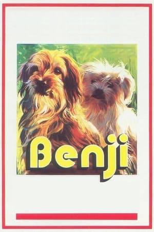 Benji is a stray who has nonetheless worked his way into the hearts of a number of the townspeople, who give him food and attention whenever he stops by. His particular favorites are a pair of children who feed and play with him against the wishes of their parents. When the children are kidnapped, however, the parents and the police are at a loss to find them. Only Benji can track them down, but will he be in time? If he can save the day, he may just find the permanent home he's been longing for.