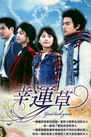 After their mother left them to be with another man, Jin Ah and her brother were raised by their grandmother. Jin Ah left school and began working as a welder in a steel mill in order to support her family. Because of her rebellious brother, Jin Ah was arrested and sent to jail. As an ex-felon, she struggles to assimilate into normal life and longs for her mother to return to theirfamily once again. She starts working for Sae Hyung, who is engaged to Yeon Hee. As time goes by, Sae Hyung and Jin Ah begin to fall in love.