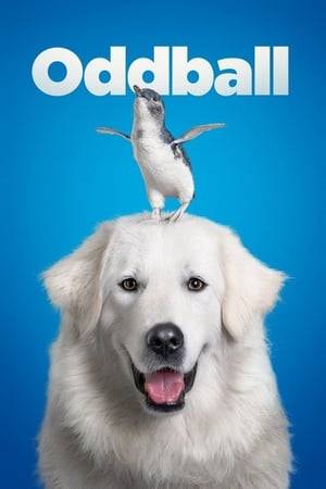 An eccentric chicken farmer, with the help of his granddaughter, trains his mischievous dog Oddball to protect a penguin sanctuary from fox attacks in an attempt to reunite his family and save their seaside town.