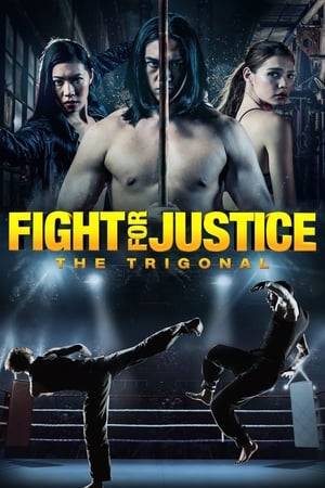 An underground fighting circuit run by an international crime syndicate invades a retired MMA champion's small, idyllic island hometown. Syndicate thugs brutally assault his wife and kill his best friend, leaving him with no other choice but to fight for justice.