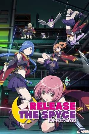 The series is about a girl named Momo who attends high school at the city of Sorasaki. However, she is secretly a member of Tsukikage, an intelligence agency that protects people. As a new member of the agency, she works alongside her colleagues including her senior Yuki and friends. Together, they work to establish peace in the city.