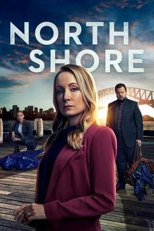 When the 19-year-old daughter of a UK politician is found dead in Sydney Harbour, cultures clash as a British and an Australian detective team up to solve a complex murder mystery. But this international investigation will expose more than murder, as the two detectives begin to uncover a conspiracy with political consequences.