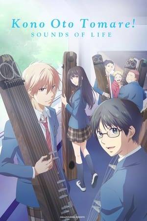Since the graduation of the senior members of the club, Takezou ends up being the sole member of the "Koto" (traditional Japanese string instrument) club. Now that the new school year has begun, Takezou will have to seek out new members into the club, or the club will become terminated. Out of nowhere, a new member barges into the near-abandoned club room, demanding to join the club. How will Takezou be able to keep his club alive and deal with this rascal of a new member?