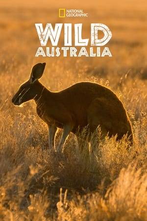 It might be one of the most famous continents on the planet, but the story of Australia hasn't been told quite like this before. In a four-part world premiere blue-chip wildlife series, come face-to-face with Australia’s most iconic – and most mysterious – animals including the cassowary, tree-kangaroo, dingo, echidna and platypus as they soar, swim and stalk through the unspoiled and spectacular environment.
