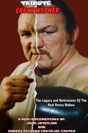 Legendary veteran American boxer Chuck Wepner receives a message from his wife Linda, notifying him that two journalists from Colombia want to interview him about his boxing legacy. Chuck would also talk about certain ups and downs he has had during his career and about enjoying his retirement with the people he loves.