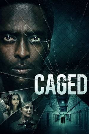 An African American male is imprisoned and placed in solitary confinement after being found guilty of murdering his wife, as he's haunted by internal demons and his dead wife, and pushed to the breaking point by an abusive female guard.
