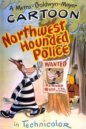The wolf escapes from Alka-Fizz prison, but persistent Sergeant McPoodle (Droopy) of the Canadian Mounties follows his trail wherever he goes.