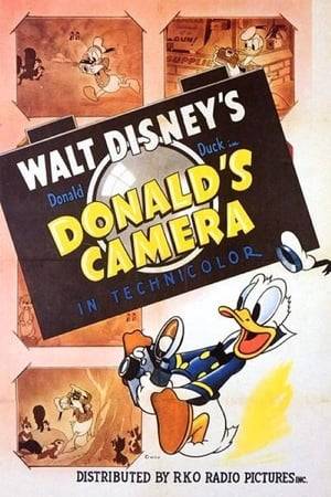 Inspired by a store display, Donald decides to "hunt" some wildlife with his camera. First, he encounters a too-friendly chipmunk, then a large group of shy animals, then some animals in a dark cave. But his biggest challenge is a woodpecker, who finds a number of ways to torment him, even though Donald does manage to trick him briefly using some toothpaste that pretends to be a worm.