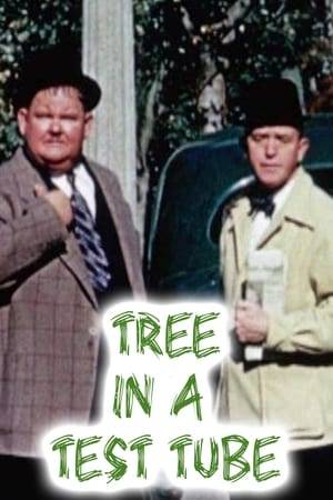Stan Laurel and Oliver Hardy are stopped by narrator Pete Smith for the purpose of showing the audience how much wood and wood by-products the average person carries.