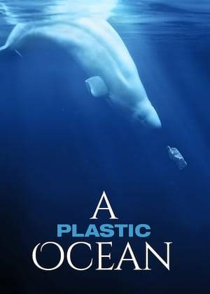 A documentary focused on plastic pollution in the world's oceans.