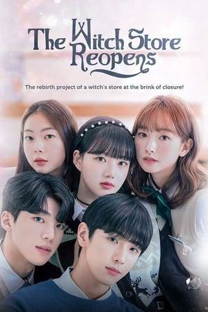 The story of Ji-ho, a timid and helpless high school boy without a dream, who struggles to save the shop by meeting the black witch Hae-na, the owner of a witch shop that is on the verge of closing.