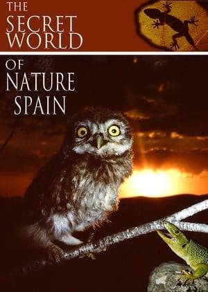 More than four years of filming have been necessary to capture the impressive images of the most varied animal species that inhabit the Iberian Peninsula: amphibians, reptiles, mammals, birds, insects and fish are represented in this wonderful journey through the different ecosystems that we can find in Iberian lands.