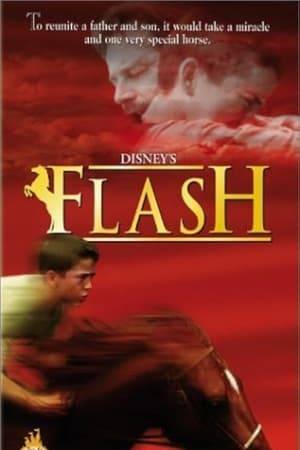 A boy falls in love with a horse named Flash that's for sale. He gets a job to earn the money to buy the horse, but he's forced to sell when the family falls upon hard times.