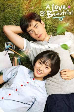The ups and downs of school, family and growing up test the affection between a budding artist and her handsome but indifferent classmate and neighbor.