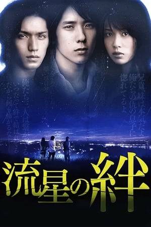 Based on a novel by mystery writer Keigo Higashino, Ryūsei no Kizuna tells the story of three orphans, whose parents were murdered long ago. Together, the three vowed on a shooting star to one day avenge their parents. After many years, the two brothers have found the murderers, and are set to carry out their plan for vengeance when they realize they've made a serious miscalculation; you see, their sister...