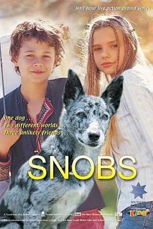 Snobs is a 2003 Australian TV series by Southern Star Group broadcast on the Nine Network.

The series is set in Eden Beach, a fictional town in Sydney's northern beaches and follows the story of a community of travelers known as "The Ferals" who decide to set up camp in the town, despite protest and anger from residents.