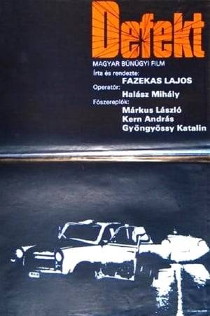 Gedeon is a young, ambitious detective. Three women have disappeared and he strongly believes that there’s direct connection between them. All three of them were driving lonely and have disappeared in the same region. After a lenghty discussion Gedeon gets the permission from his boss for going on patrol with his colleague in that area.