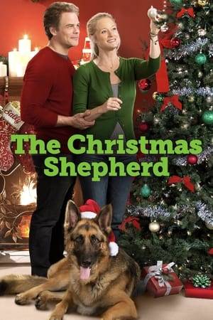 Sally Brown, a successful children's book author and Army widow loses her late husband's German Shepherd, Buddy, only to later find him adopted by a new family - single father Mark Green and his teenage daughter Emma. Each finds a sense of Christmas spirit as they struggle to decide with whom the dog really belongs.