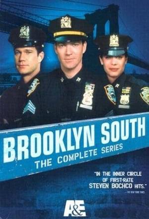 An American ensemble police drama series following the life of police officers from the 74th Precinct in southern Brooklyn, New York City.