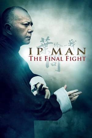In postwar Hong Kong, legendary Wing Chun grandmaster Ip Man is reluctantly called into action once more, when what begin as simple challenges from rival kung fu styles soon draw him into the dark and dangerous underworld of the Triads. Now, to defend life and honor, he has no choice but to fight one last time...