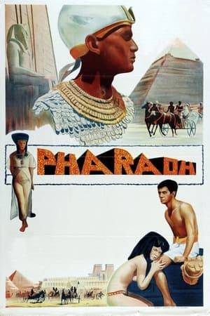 Young Pharaoh Ramses XIII clashes with Egypt's clergy over influence on the affairs of the state and its coffers. inexperienced, but quite ambitious pharaoh is putting up a fight against a powerful clan of priests usurping rule over the country.