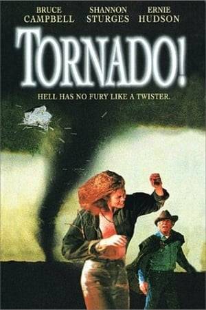 An accountant sent to produce an evaluation of a tornado research project, and the scientist running the project pursue tornadoes and each other.