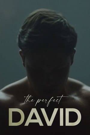 David is a young bodybuilder who obsessively trains to become his artist mother's muse. As he dedicates himself to further developing his physique, he goes through an identity crisis that will mark his destiny.