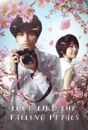 Haruto Asakura falls in love with hairdresser Misaki Ariake and asks her out. Watching Misaki Ariake work hard to achieve what she wants, Haruto Asakura, who almost gave up his dream to become a photographer, begins to pursue his dream again, but Misaki Ariake is diagnosed with a disease that ages her 10x faster than normal.