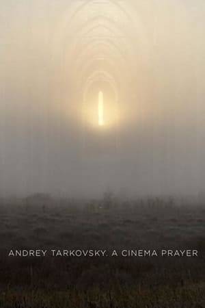 An account of the life and work of Russian filmmaker Andrey Tarkovsky (1932-86) in his own words: his memories, his vision of art and his reflections on the fate of the artist and the meaning of human existence; through extremely rare audio recordings that allow a complete understanding of his inner life and the mysterious world existing behind his complex cinematic imagery.
