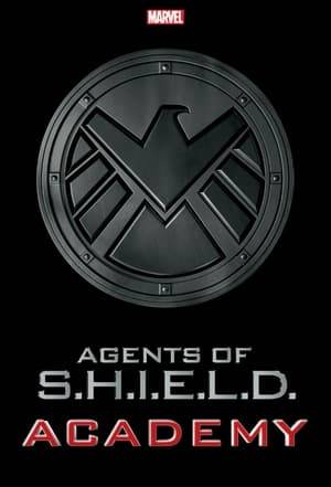Agents of S.H.I.E.L.D.: Academy is a five-part original web series designed as a behind-the-scenes feature for Agents of S.H.I.E.L.D. Contestants will compete in different challenges related to Agents of S.H.I.E.L.D. in order to win an appearance in the fourth season of the show.