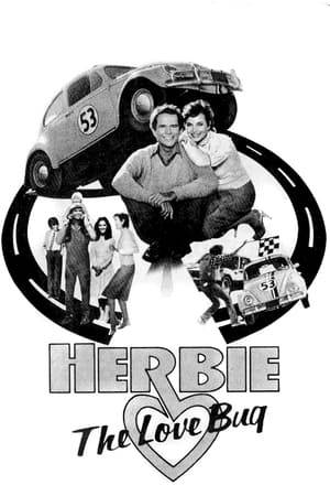Herbie the Matchmaker, also known as Herbie, The Love Bug, is a short-lived situation comedy that aired on CBS in the spring of 1982. The series is based on Walt Disney Productions' popular Herbie film series, about a Volkswagen Beetle with a mind of its own. It was cancelled after five episodes and, for the next fifteen years, would mark Herbie's last new appearance in either television or film; Herbie would next return to television in the 1997 film The Love Bug.