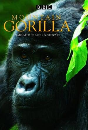 The story of the world's last mountain gorillas, protected by a dedicated band of humans who watch and care for them. Narrated by Patrick Stewart.