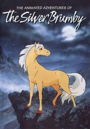 The Silver Brumby is an Australian animated children's television series written by Jon Stephens and Judy Malmgren based on Elyne Mitchell's Silver Brumby books. A total of thirty-nine episodes were produced by Media World between 1994 and 1998 and these were broadcast on CBBC in the United Kingdom and RTE in Ireland.

The episodes featured Thowra, a silver colt, his brothers Storm and Arrow and their friends the bush animals in their continued quest to resist the Men's efforts to capture them.

The series was remade into a feature length film by Media World Features and Lions Gate Home Entertainment with Barnholtz Entertainment in 1993. The title was changed to "The Silver Stallion," and starred Russell Crowe and Caroline Goodall. The Australian based film was directed by John Tatoulis and produced by Colin J. South, and went on to win 5 Film Festivals.
