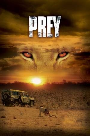 An American family on holiday in Africa becomes lost in a game reserve and stalked by vicious killer lions.