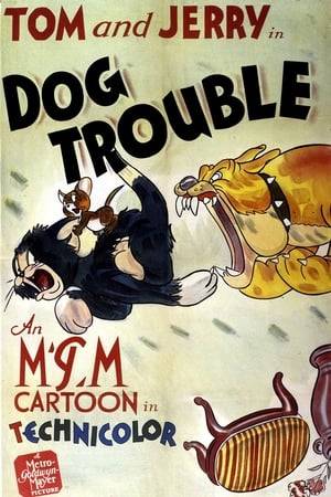 Tom's chasing Jerry when he runs right into a sleeping dog and the two of them must work together to fend him off.