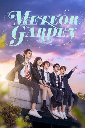 An ordinary girl is admitted to the most prestigious school in the country where she encounters F4, an exclusive group comprised of the four wealthiest and handsomest boys in the school - Dao Ming Si, Hua Ze Lei, Xi Men and Mei Zuo.