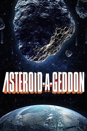 A global scientific summit debates and fails on a plan to stop a massive asteroid heading straight for Earth, with all countries blaming each other for the impeding disaster. With communications tense, the daughter of a tech billionaire assembles her own team of specialists to try to destroy the asteroid before it is too late.