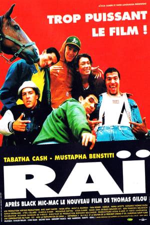 Raï is about a gang of youths in a Parisian suburb.This is the multicultural environment in which Mezz, Aziz, Laurent, Nordine, Poisson and the others have grown up. There is no future in Garges-les-Gonesses. Unemployment is high, drugs and violence are a part of everyday life. The opportunity to escape seems nonexistent.