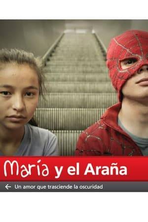 A 13-year-old girl living in a Buenos Aires shantytown falls for a 17-year-old boy who earns a living juggling in a Spiderman costume.