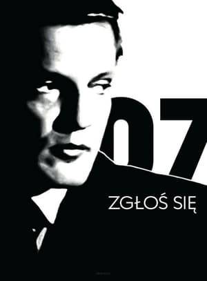 The series centres around the investigations of Police Lieutenant Sławomir Borewicz. Each episode features a different case being solved by Borewicz.