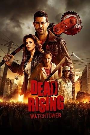 A group of people fight to survive in a zombie infested town.