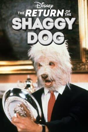 The Return of the Shaggy Dog is a 1987 two-part television movie midquel to the 1959 feature film, The Shaggy Dog, set before the events of The Shaggy D.A..
