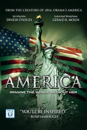 The film puts forth the notion that America's history is being replaced by another version in which plunder and exploitation are the defining characteristics. It also posits that the way the country understands the past will determine the future.