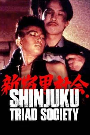 Tatsuhito, a cop, pursues Chinese warlord Wang through the underworld of Shinjuku and over to Taiwan.